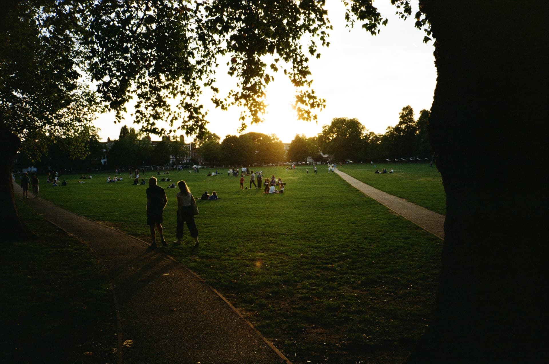 Sunset over a London park, shot on film